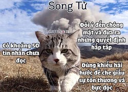 Hé lộ những bí mật thú vị thuộc về 12 cung Hoàng đạo mà ít ai biết