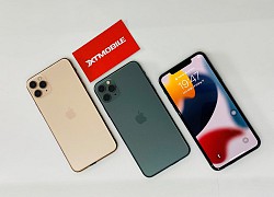 iPhone 13 Pro, 11 Pro Max giảm đến 3,5 triệu tại XTmobile