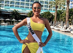 Lộ Top 5 và thứ hạng của Kim Duyên ngay trước giờ G chung kết Miss Universe, thực hư thế nào?