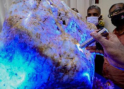 Sri Lanka trưng bày hòn đá sapphire tự nhiên 'lớn nhất thế giới'