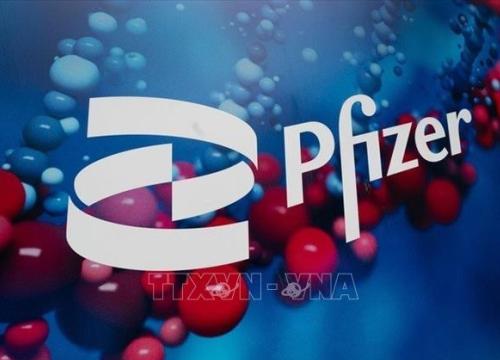 Thuốc kháng virus dạng viên của Pfizer có thể giảm đáng kể nguy cơ tử vong