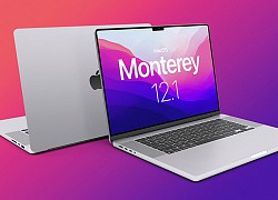 Cách khắc phục lỗi không thể cập nhật macOS 12.1 Monterey