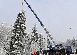 Nga trang hoàng quảng trường Điện Kremlin bằng cây thông Noel 90 năm tuổi