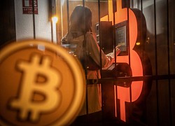 Nhìn lại năm 2021: Sự trỗi dậy của Bitcoin và tiền số