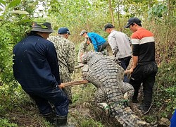 Nhóm người ở Việt Nam bắt được 'quái thú' nặng khoảng 200 kg, 6 người nâng vẫn hụt hơi!