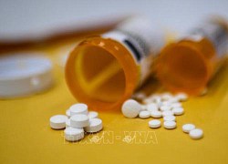 Thẩm phán liên bang Mỹ lật đổ &#8216;lá chắn pháp lý&#8217; của hãng dược Purdue Pharma