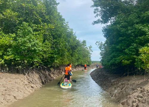 Về Cần Giờ lắng nghe hơi thở của rừng với trải nghiệm Trekking, chèo SUP