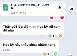 20h đêm giáo viên bỗng gửi điểm thi cuối kỳ, định nhấn coi, ai ngờ đọc dòng tin nhắn thứ hai của thầy mà ngã ngửa