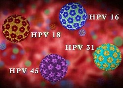 Các chủng HPV gây ung thư