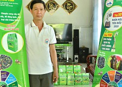 Chỉ có ở Tây Ninh: Bánh tráng phơi sương, rau rừng, muối tôm,... những sản phẩm OCOP đặc sản có 1-0-2