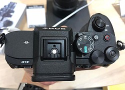 Đánh giá Sony Alpha 7 IV: Lấy nét siêu thông minh, giá hợp lý