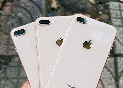 iPhone giảm giá mạnh cuối năm: 11 Pro Max / 12 Pro Max giảm đến 5 triệu, XS Max còn 9 triệu đồng!