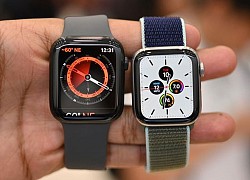 Người dùng Việt ngày càng chuộng smartwatch