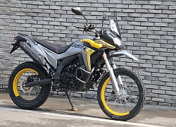 Phân khúc dualsport cỡ nhỏ tại châu Âu có thêm mẫu xe giá rẻ Voge 300 GY Rally