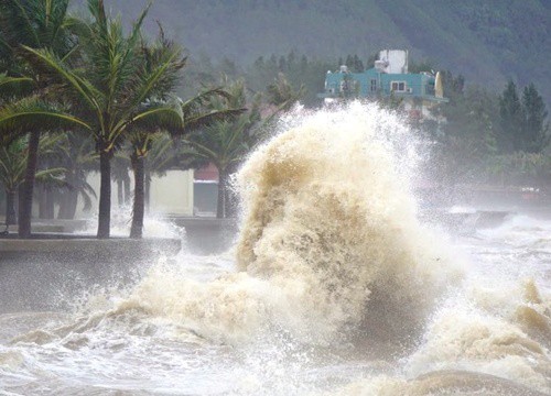 Ứng phó bão số 9: Quảng Nam khẩn trương triển khai các giải pháp hạn chế thiệt hại