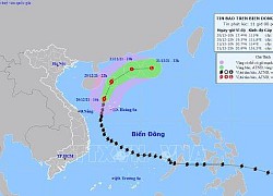 Ứng phó với bão số 9, sớm phục hồi sản xuất