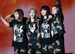 Bí mật đằng sau màn tan rã của 2NE1 và lý do Black Pink được debut sớm hơn dự kiến