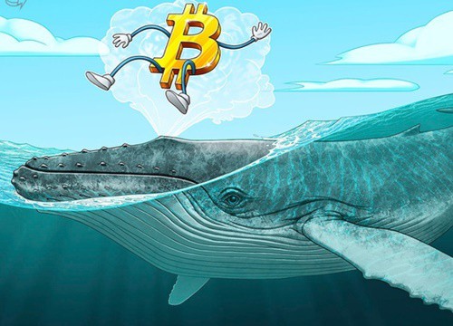 Bitcoin đang rất dễ bị thao túng