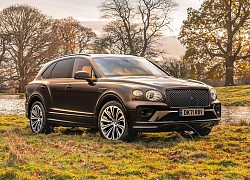 Bộ sưu tập Bentley Bentayga đặc biệt với chủ đề dã ngoại