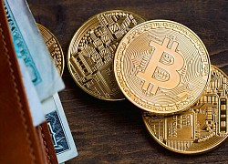 Bỗng dưng nhớ lại "mật khẩu" ví chứa 321 Bitcoin từ năm 2013, một ai đó vừa trở thành triệu phú