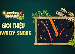 Cowboy Snake, Rắn săn mồi phiên bản game NFT đang cực kỳ hot