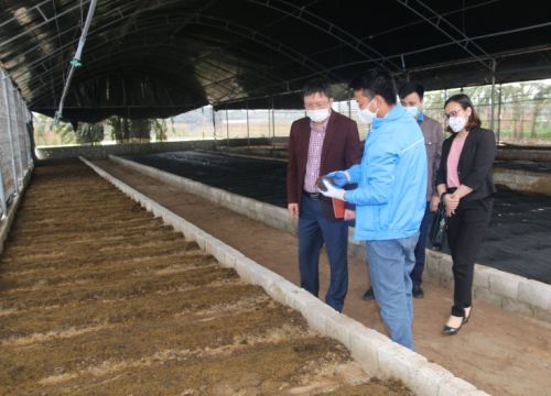 Hưng Yên: Nuôi con ăn bẩn mà "đẻ" ra đủ thứ phân sạch, chỉ mới 6 tháng đã lãi 275 triệu ngon ơ