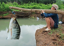 Khi "ông hoàng bắt cá hành nghề": Quằn quại dữ dội, bắt được cá to nhưng cư dân mạng lại "cười khẩy" vì lý do này