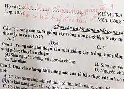 Nam sinh làm bài kiểm tra chỉ ghi họ Trần, thầy giáo thêm vào 1 CHỮ, dân tình đọc xong đỏ mặt tía tai vì ngượng