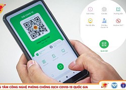 Phiên bản mới của app PC-COVID cập nhật hotline 24/7 và theo dõi dữ liệu COVID-19