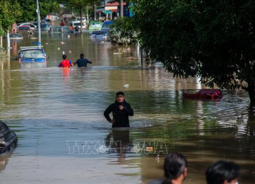 Số người thiệt mạng do mưa lũ tại Malaysia tăng mạnh