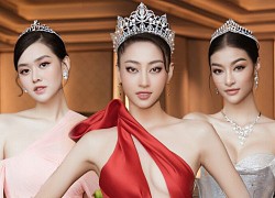 Top 3 Miss World Việt Nam có thời gian đương nhiệm lâu nhất