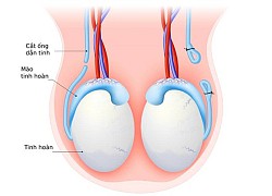 10 câu hỏi của nam giới sau thắt ống dẫn tinh