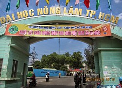 Lãnh đạo Đại học Nông Lâm TP.HCM lý giải việc trường mở ngành Giáo dục mầm non