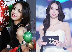 Nữ thần SBS Gayo Daejun gọi tên "thánh body" nhà JYP, đẹp và sang muốn điên lên bảo sao đại náo từ thảm đỏ đến sân khấu