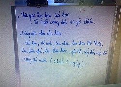 Phẫn nộ với thời gian biểu được cho là của bé gái 8 tuổi tử vong, nghi do dì ghẻ bạo hành