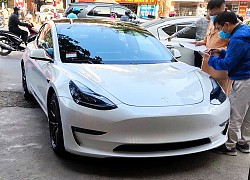 Thêm xe điện Tesla Model 3 giá hơn 3 tỉ đồng về Việt Nam