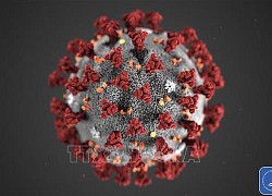 Virus SARS-CoV-2 tồn tại dai dẳng 'hàng tháng' trong cơ thể người