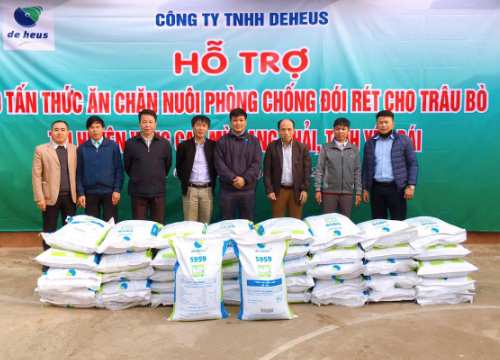 Yên Bái: Nông dân phấn khởi được De Heus tặng 10 tấn thức ăn chăn nuôi phòng chống đói rét cho trâu bò