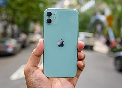 Apple bắt đầu bán iPhone 11 tân trang với giá rẻ