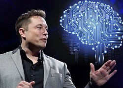 Elon Musk gây sốc khi cấy chip vào não khỉ để chơi game bằng suy nghĩ