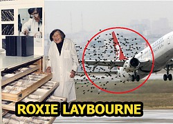 Roxie Laybourne | &#8220;Thám tử lông vũ&#8221; thay đổi cả ngành hàng không