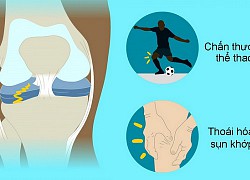 Tổn thương hay gặp ở khớp gối và cách chữa trị