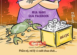 'Cổ tức' hiện đại: Sự tích cua hóa đá