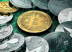 Giá Bitcoin hôm nay 28/2: Thị trường nổi sóng, Bitcoin bật tăng