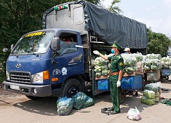 Miền Tây 'giăng lưới' ngăn COVID-19