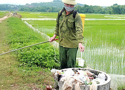 Phát huy vai trò hội nông dân trong bảo vệ môi trường