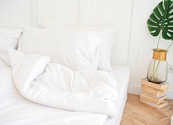 10 thói quen dọn dẹp nhà cửa sai lầm cần loại bỏ ngay lập tức: Số 3 nhiều người hay mắc phải
