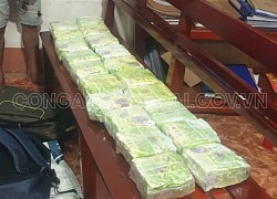 Bắt nam thanh niên vận chuyển 20kg ma túy ở Đồng Nai