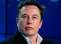 Các đối thủ giúp Tesla làm giàu như thế nào?