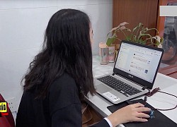 Cẩn thận 'sập bẫy' lừa đảo việc làm trên mạng ngày tết